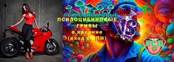 кокс Баксан